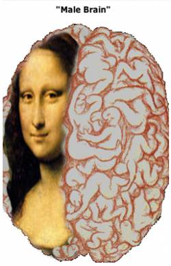 mona and our brain