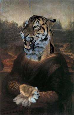 Tiger Lisa